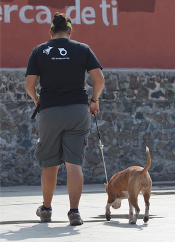 Entrenamiento de Vida Canina