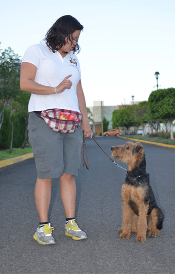 Entrenamiento de Vida Canina