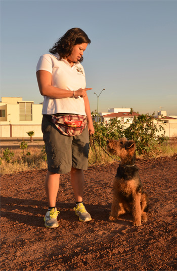 Entrenamiento de Vida Canina